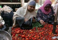 "شعبة الخضروات": «التموين» تكذب وتصريحاتها للشو الإعلامي