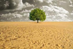 ما هي الكلفة الاقتصادية لظاهرة الاحتباس الحراري؟
