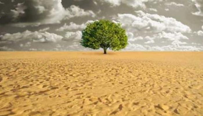 ما هي الكلفة الاقتصادية لظاهرة الاحتباس الحراري؟