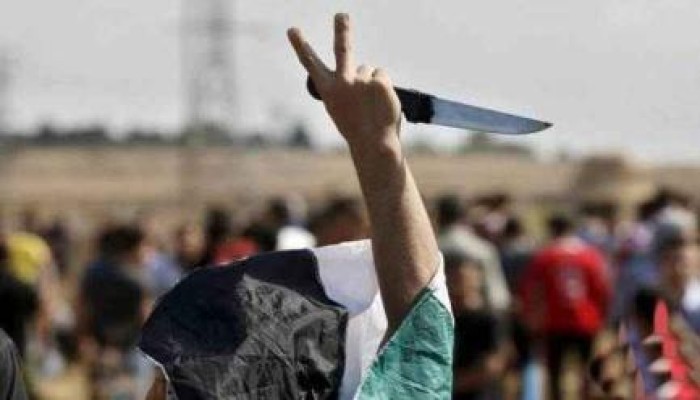 صحيفة فرنسية: "إسرائيل" تقف عاجزة أمام انتفاضة السكاكين