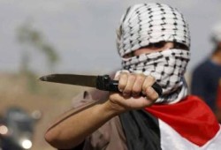 النعامي: ما حققته "ثورة السكاكين" في أيام يفوق حرب الـ50 يومًا على غزة