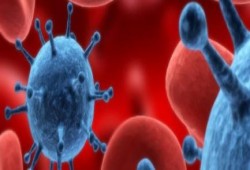 وفاة جديدة بـ«الفيروس الغامض» في أسيوط