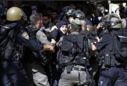 سياسيون: الصراع في الوطن العربي على العقيدة.. وما يحدث في فلسطين إبادة