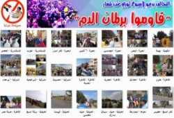 الحراك الثوري الجمعة 16 أكتوبر 2015 "قاوموا برلمان الدم"