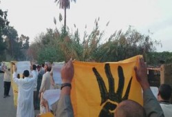 فعاليات ثورية بالدقهلية ترفع شعار "قاوموا برلمان الدم"