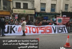 مظاهرة تضامنية مع فلسطين تدعو الحكومة البريطانية لعدم استقبال السيسي