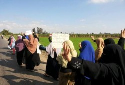 بالصور .. تواصل فعاليات أهالي ‏الدقهلية الرافضة لـ " برلمان مرجان "