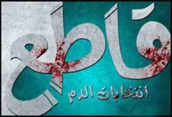 الجبهة السلفية: لا نعترف بكل ما ينتج عن الديكتاتور وانقلابه على الشرعية