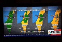 قناة أمريكية تنشر عدداً من الخرائط تكشف حجم الأراضي التي خسرتها فلسطين