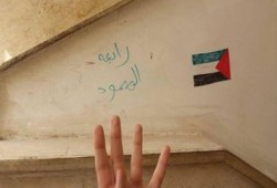 بالصور.. انتشار أعلام فلسطين على جدران كلية الآداب بجامعة بني سويف