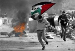 دعوة حقوقية لدعم انتفاضة القدس وتطوير أدائها