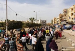 فيديو.. 15 فعالية بالشرقية حتى عصر جمعة "إرادة لا تقهر وثورة لا تنهزم"