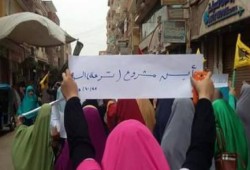 المنوفية: مسيرة مناهضة للانقلاب ببركة السبع