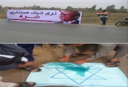 ٢٠ فاعلية ثورية بالمنوفية ضمن فعاليات "ادارة لا تقهر وثورة لا تنهزم"