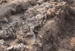 العثور على ما يقرب من 400 جثة في مقابر جماعية بالعراق