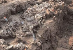 العثور على ما يقرب من 400 جثة في مقابر جماعية بالعراق