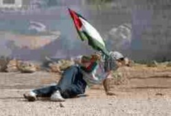 55 شهيدًا حصيلة "انتفاضة القدس" في يومها الثالث والعشرين