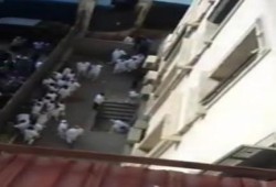 بالفيديو: معتقلون يهتفون "يسقط كل كلاب العسكر" داخل محكمة الإسكندرية بعد الاعتداء عليهم