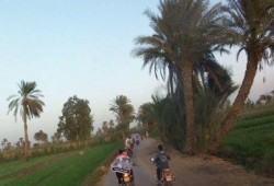 بنى سويف: تظاهرات بالفشن ضمن فاعليات أسبوع "إرادة لا تقهر وثورة لا تهزم"