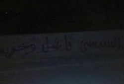 "السيسي فاشل و خربها".. حملة اسبراى تغزو كفر الدوار رفضًا لتردي الأوضاع المعيشية