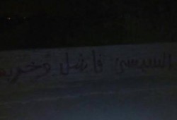 "السيسي فاشل و خربها".. حملة اسبراى تغزو كفر الدوار رفضًا لتردي الأوضاع المعيشية
