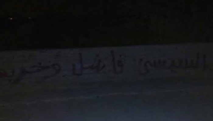 "السيسي فاشل و خربها".. حملة اسبراى تغزو كفر الدوار رفضًا لتردي الأوضاع المعيشية