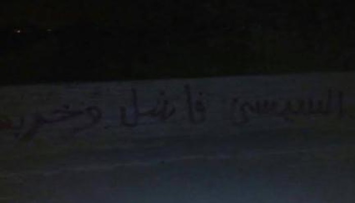 "السيسي فاشل و خربها".. حملة اسبراى تغزو كفر الدوار رفضًا لتردي الأوضاع المعيشية