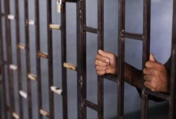 مدافعون عن حقوق الإنسان في مواجهة قمع السلطات المصرية
