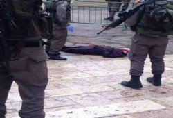استشهاد فتاة فلسطينية برصاص الاحتلال في الخليل