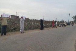 فعالية بالدقهلية‬ رافضة لـ "انتخابات العسكر"
