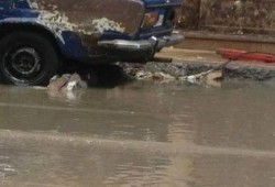 ارتفاع ضحايا سقوط "كابل كهرباء" الإسكندرية لـ6 أشخاص بينهم طفلان