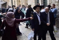 أحمد نصار يكتب: سكاكين تحرس الأقصى.. وأنظمة تحمي "إسرائيل"!