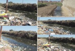 اختلاط الصرف بمياه الترع التى تروى منها الاراضى الزراعية بالاسكندرية (صور)