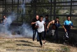 3 شهداء و50 جريحاً في اليوم 27 لـ"انتفاضة القدس"