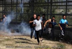 3 شهداء و50 جريحاً في اليوم 27 لـ"انتفاضة القدس"