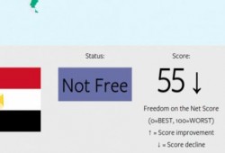 فريدوم هاوس: في عهد الانقلاب مصر بين أسوأ دول العالم في حرية الإنترنت