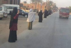 فعالية لثوار الصف بالجيزة رفضا للحكم العسكرى
