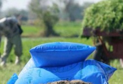 أزمة أسمدة تهدد مصدري الحاصلات الزراعية