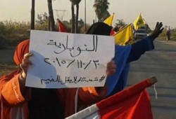 البحيرة: فعالية لثوار النوبارية تحت شعار "شعب ثائر لا يقبل الضيم"