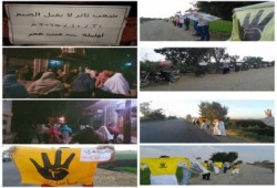 تواصل الفعاليات الثورية بالدقهلية‬ تحت شعار "ثورة شعب لا يقبل الضيم"