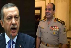 10 أسباب تقضي على أوهام السيسي بسقوط أردوغان