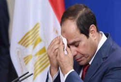 حقوقي بريطاني: زيارة السيسي عار على الديمقراطية