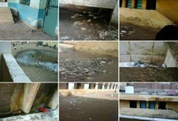 فى عهد العسكر: مدرسة طلعت حرب الإبتدائيه بالدقهليه مابين الفساد التعليمى والفساد الإنشائى