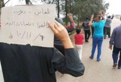 فعاليات ثورية متنوعة لأهالي "الدقهلية" في جمعة "‏انقذوا مصر"