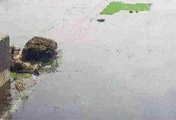 مزارعو البحيرة يهاجمون الانقلاب: اتخرب بيتنا ومش عارفين ناكل ولا نزرع