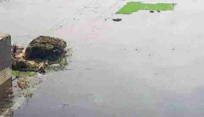 مزارعو البحيرة يهاجمون الانقلاب: اتخرب بيتنا ومش عارفين ناكل ولا نزرع