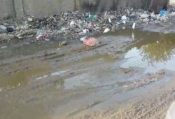"أبشواي" تغرق في مياه الصرف الصحي وتعاني من القمامة.. والمسئولون لا يبالون