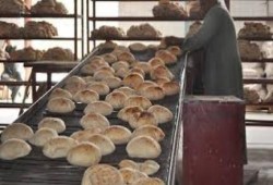 خبير زراعي: خسارة 6 مليارات لفشل الانقلاب بمنظومة الخبز