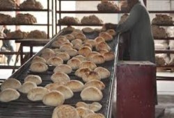 خبير زراعي: خسارة 6 مليارات لفشل الانقلاب بمنظومة الخبز