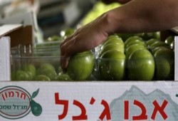 غضب في إسرائيل بعد قرار الاتحاد الأوروبي بتمييز منتجات المستوطنات